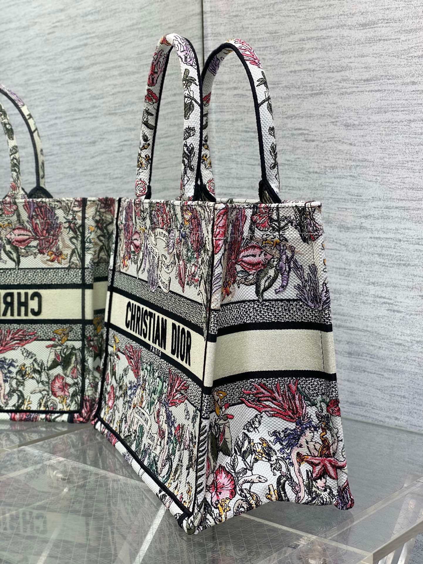 Dioramour Medium Dior Book Tote M1296ZEED Multicolor