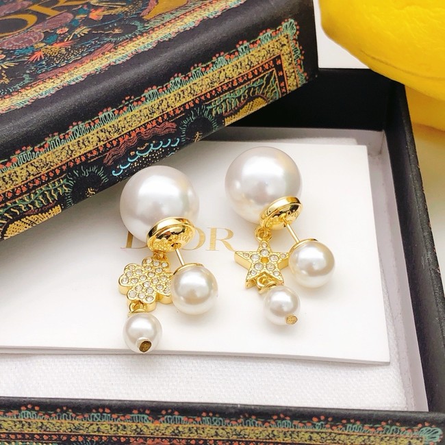 Dior Earring CE16235