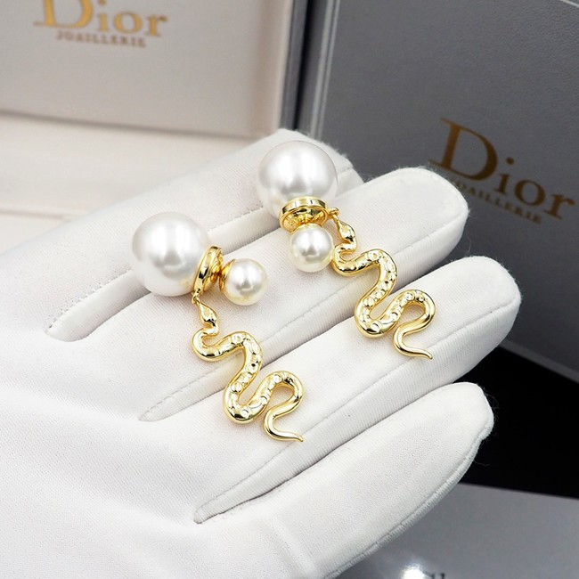 Dior Earring CE16238