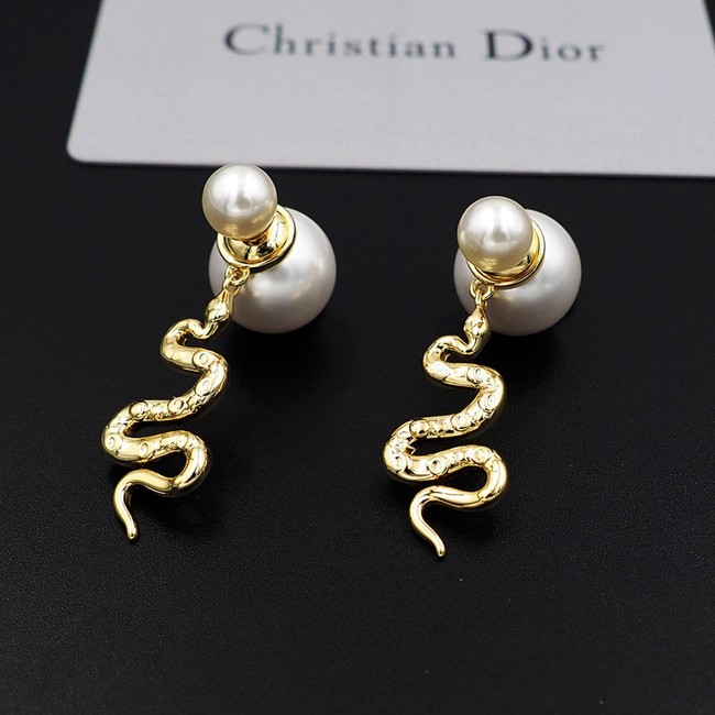 Dior Earring CE16238