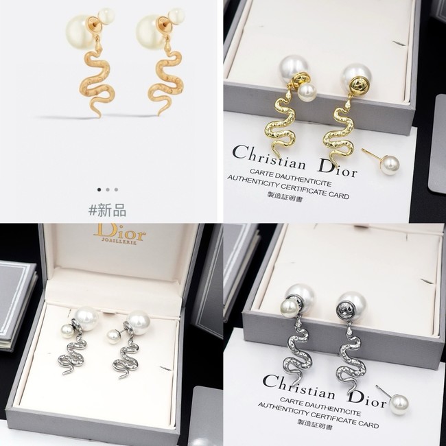 Dior Earring CE16238