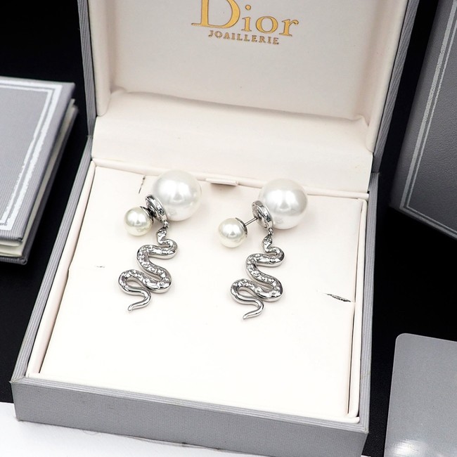 Dior Earring CE16239