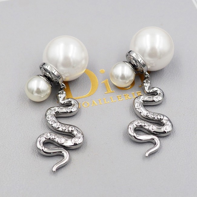 Dior Earring CE16239