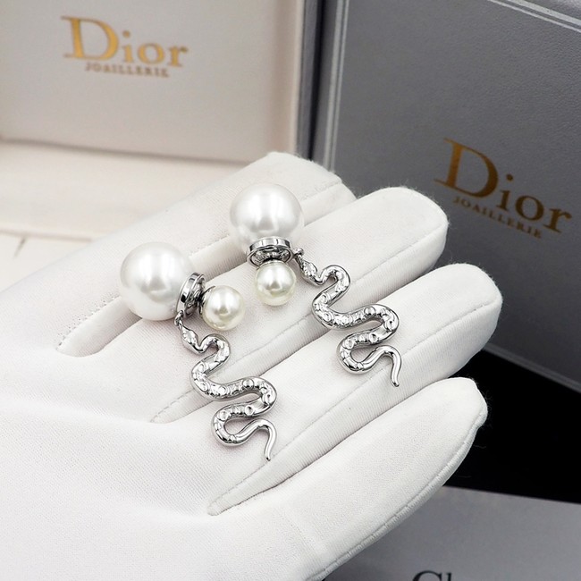 Dior Earring CE16239