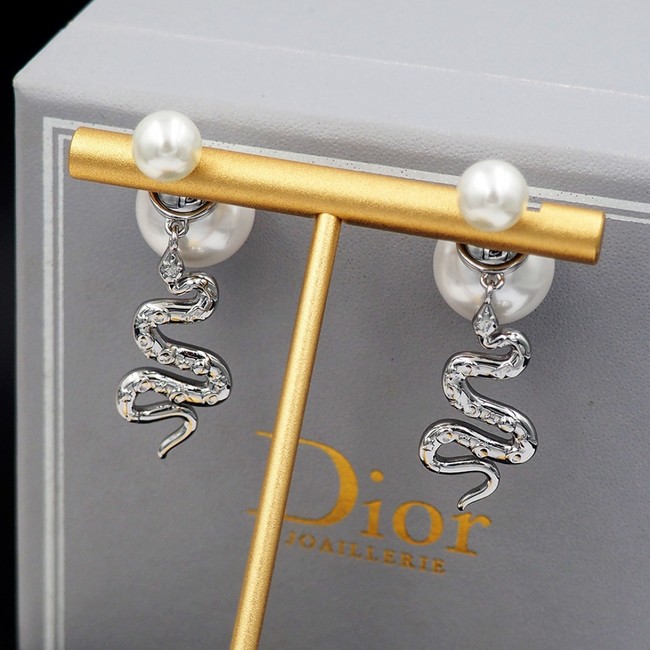 Dior Earring CE16239