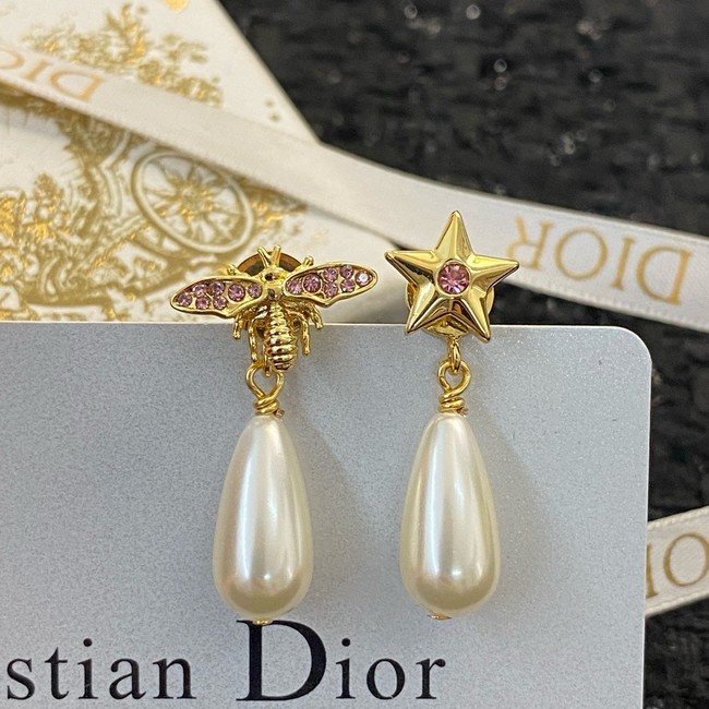 Dior Earring CE16250