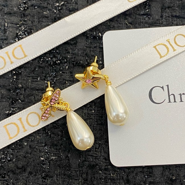 Dior Earring CE16250