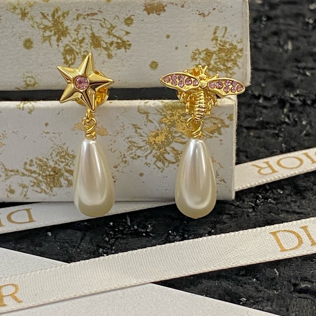 Dior Earring CE16250