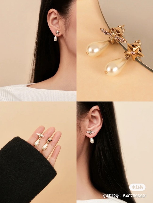 Dior Earring CE16250