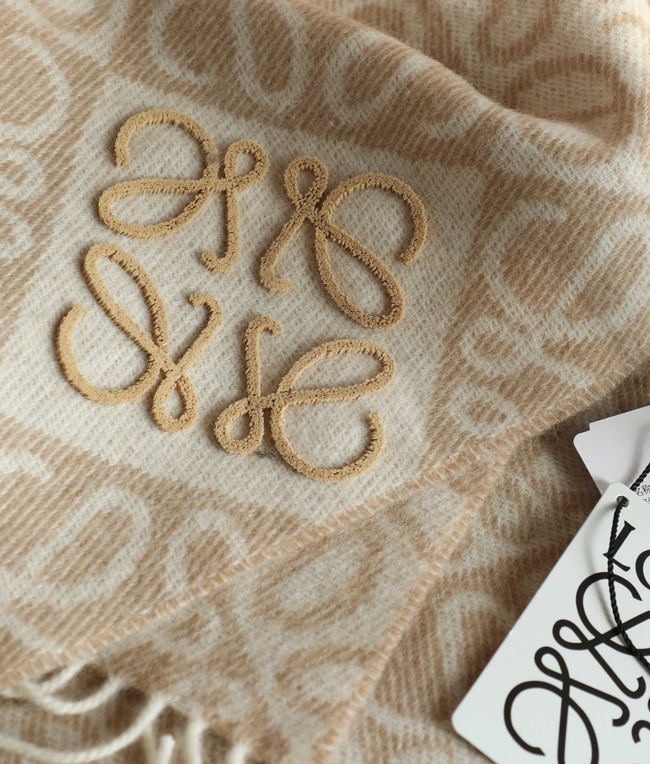 Loewe Cashmere Scarf 06383