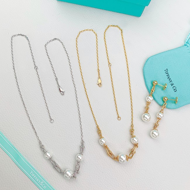 TIFFANY necklace&Earring CE81580