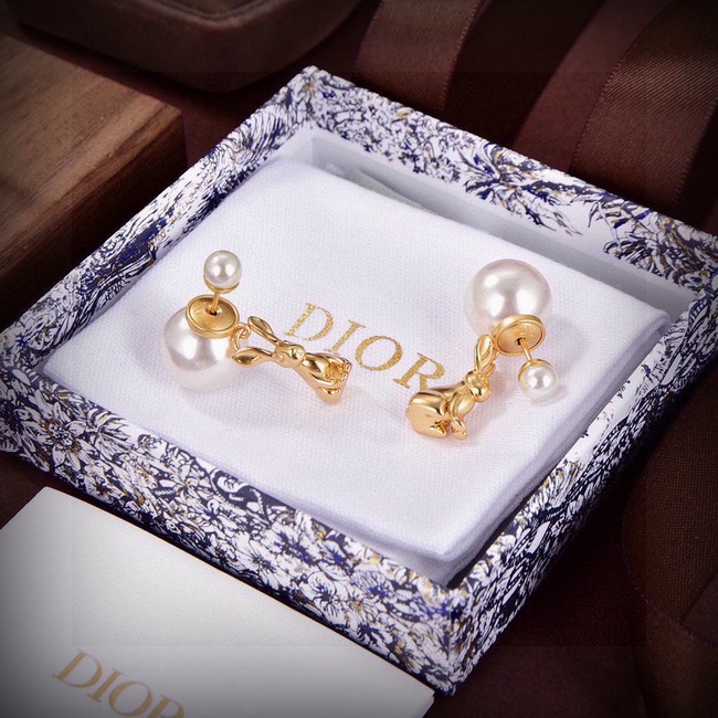Dior Earring CE81677