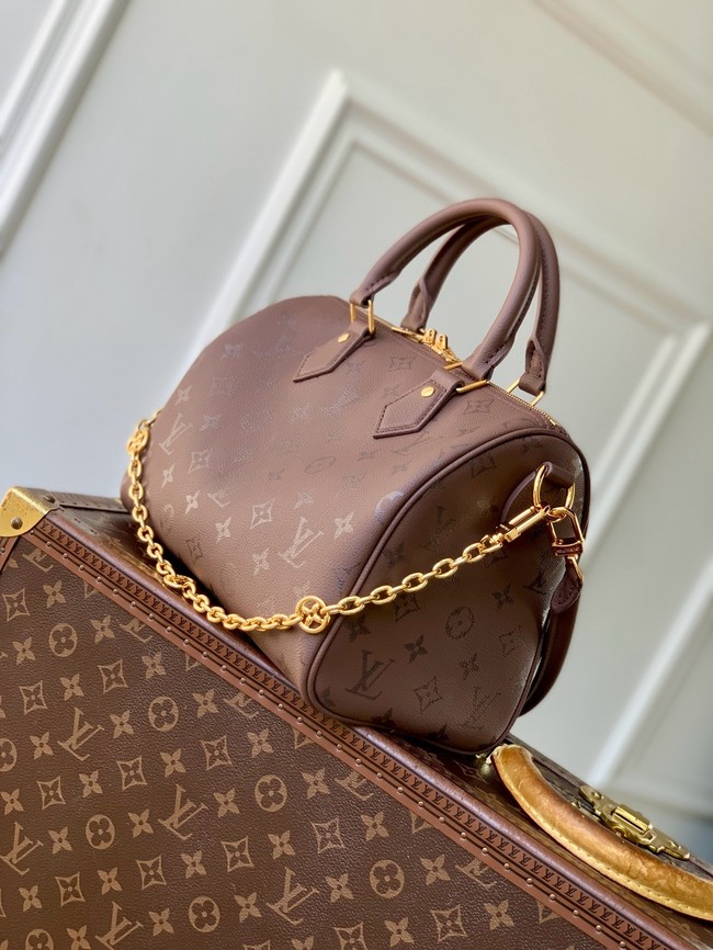 Louis Vuitton Speedy Soft 25 M26486 burgundy