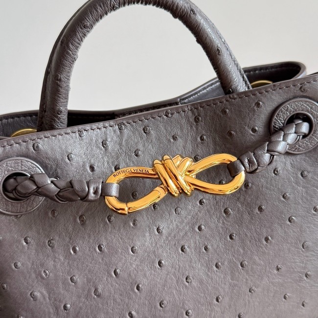 Bottega Veneta Mini Andiamo Sapele 805232 Fondant