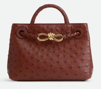 Bottega Veneta Mini Andiamo Sapele 805232 Sapele