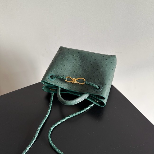 Bottega Veneta Small Andiamo 805231 Jungle