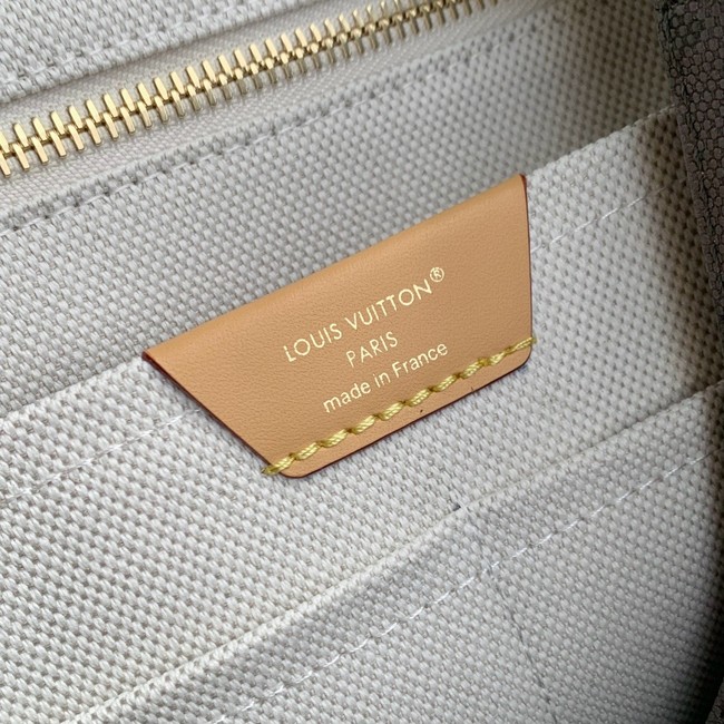 Louis Vuitton Christopher MM M27080 Khaki