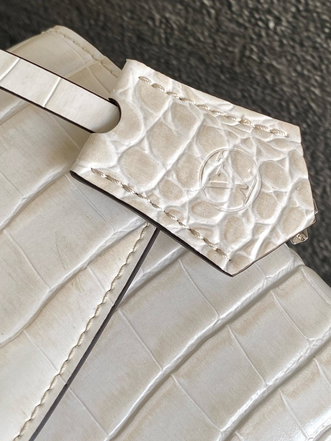 Louis Vuitton Calfskin M84713 light gray