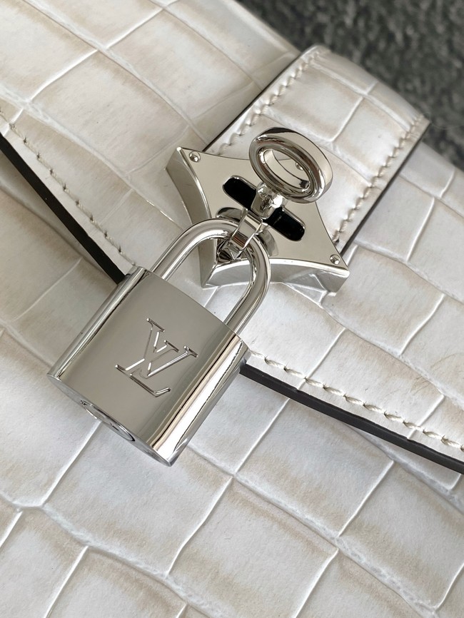 Louis Vuitton Calfskin M84713 light gray