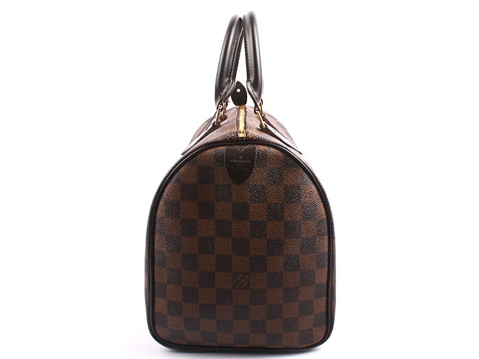 Louis Vuitton Damier Ebene Canvas Speedy 25 N41532